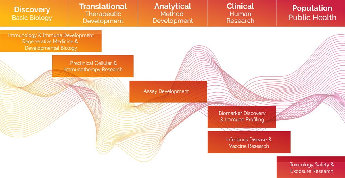 Cord Blood Diagram