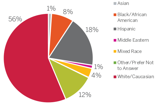 Race/Ethnicity Breakdown Chart