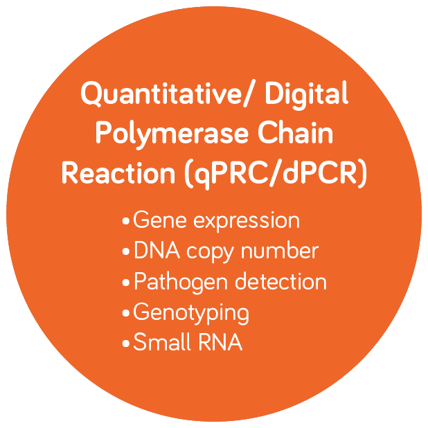 Quantitative/Digital Polymerase Chain Infographic