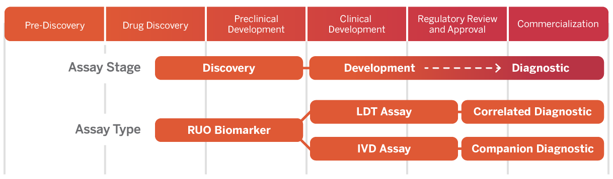 Biomarker Lifecycle Chart