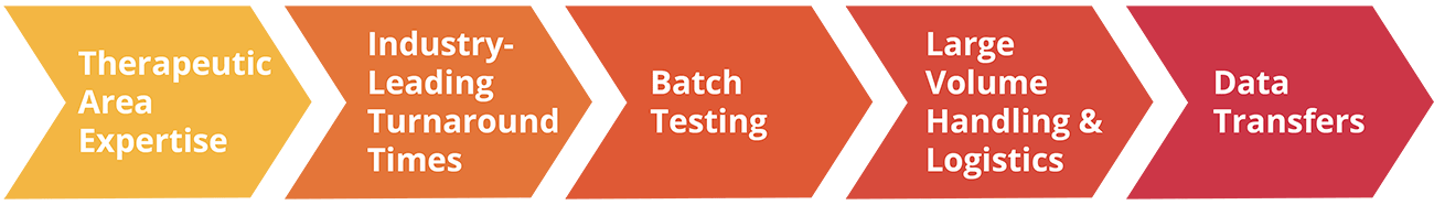 Testing Services