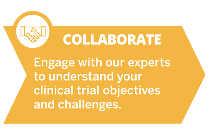 Collaborate: Engage with our experts to understand your clinical trial objectives and challenges.