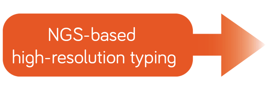 NGS-based high-resolution typing infographic