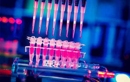 Multi-pipette gun filling samples