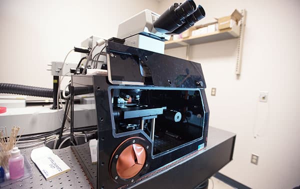 Olympus Laser Scanning Confocal and Multiphoton (2-color)