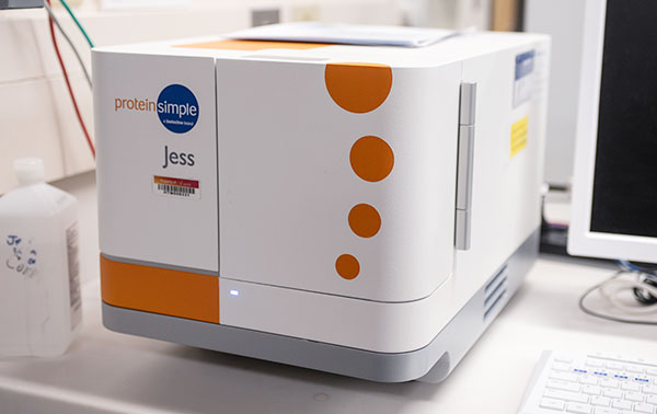 Jess Protein Simple Machine