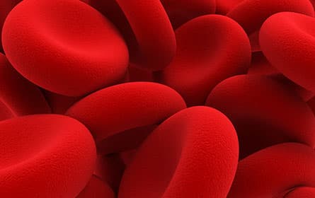 Red Blood Cells