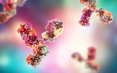 Molecular model of antibody taking part in immune defense. molecule of immunoglobulin, 3d illustration