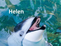 Helen