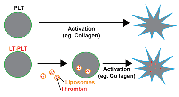 Platelet and LT-Platelet Comparison Illustration