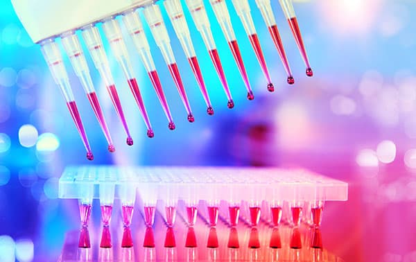 Pipette Holding Samples