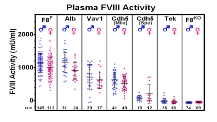Plasma Activity Chart
