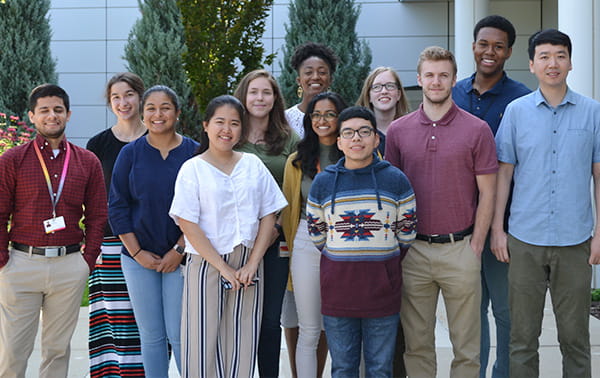 Research staff and trainees