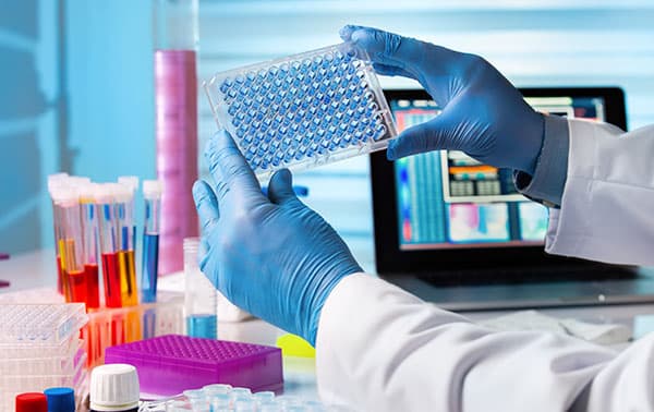 Researcher holding samples in a micro plate.