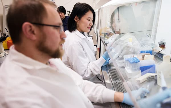 Trainees working on research initiatives.