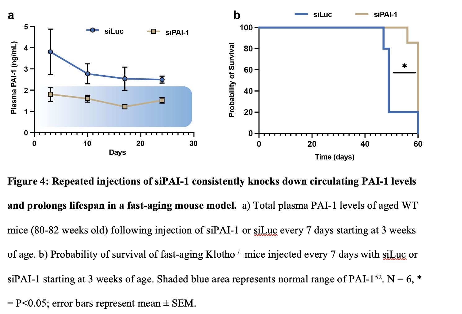 Once delivered into the body, the siRNA specifically targets the genetic instructions that cells use to produce PAI-1. By degrading the messenger RNA for this protein, the therapy prevents cells from making excess PAI-1. Remarkably, a single dose of siRNA reduced PAI-1 by about 90% for up to 10 days without noticeable side effects.