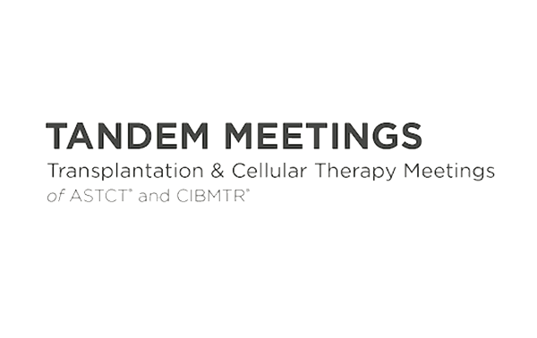 Tandem Meetings Logo