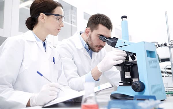 2 scientists reviewing a sample.