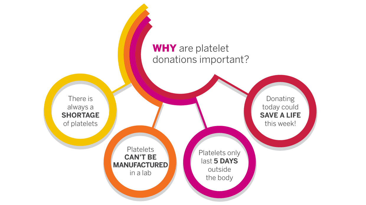Versiti Types of Donations About Blood Donation Versiti