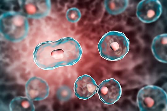 Computer generated image of cells reproducting.