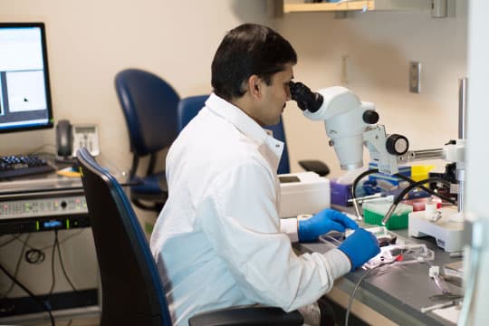 Saravana using an electron microscope.