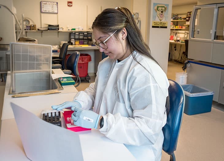 Diagnostic labs technican testing some samples, holding micro vials.