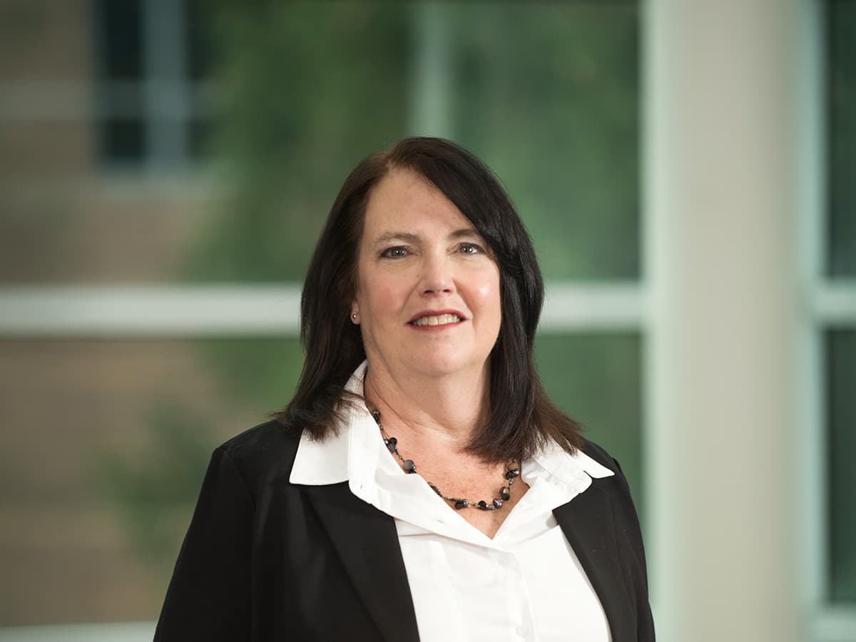 Lynne Briggs, VP & Chief Information Officer